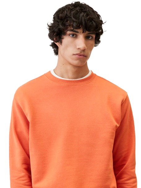 تازه و خوشمزه